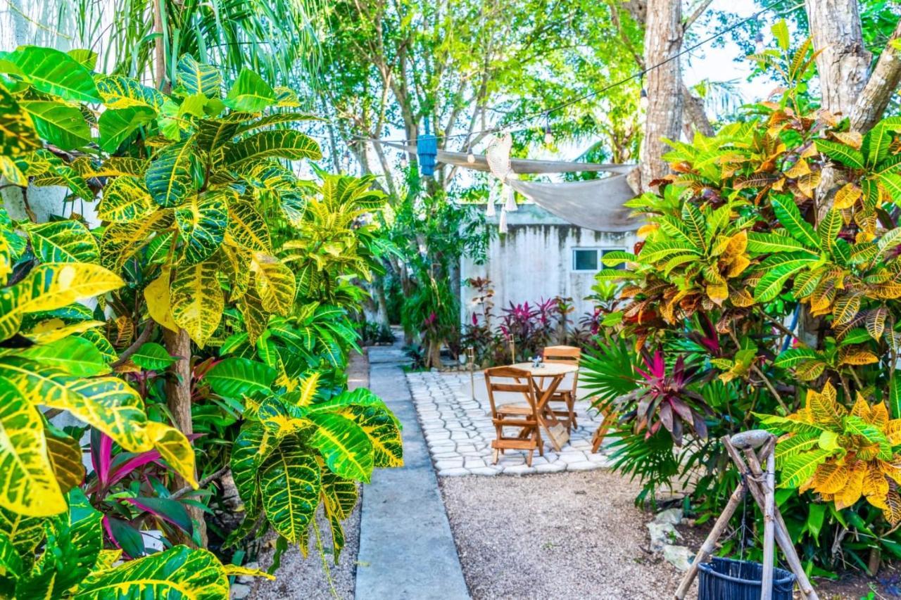 Casa Borush By Ecoplaneta Hotel Cancun Luaran gambar